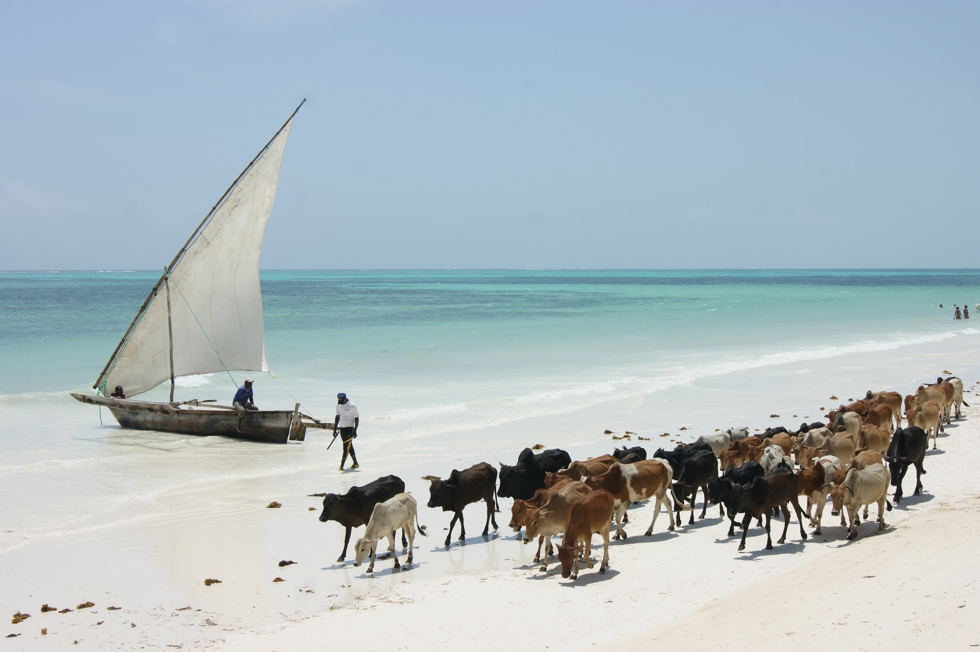 Zanzibar – miejsce, którego nie da się zapomnieć
