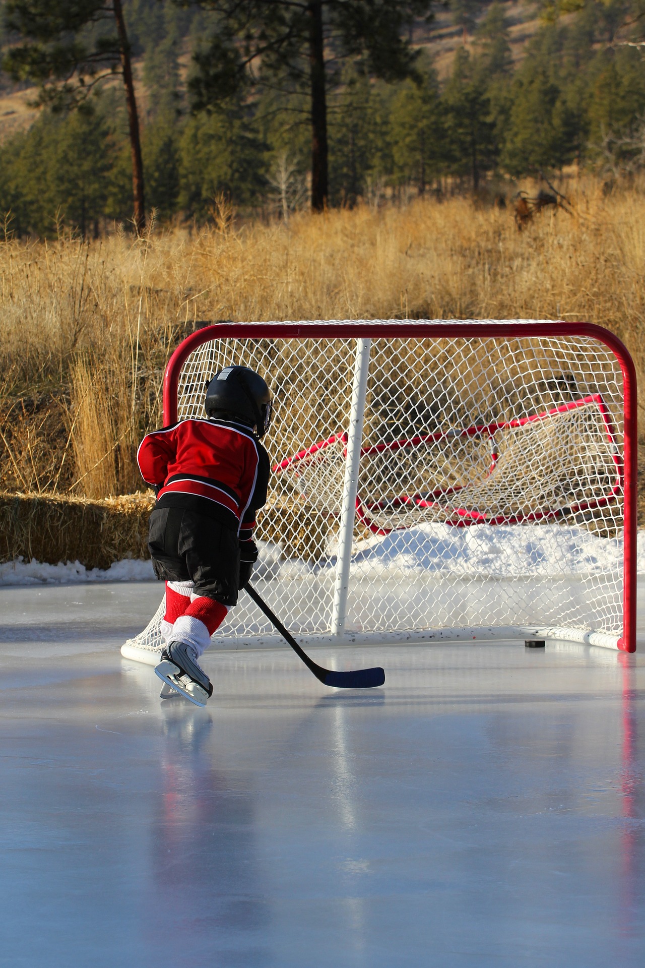 Na lodzie bywa gorąco, czyli o urokach hokeja