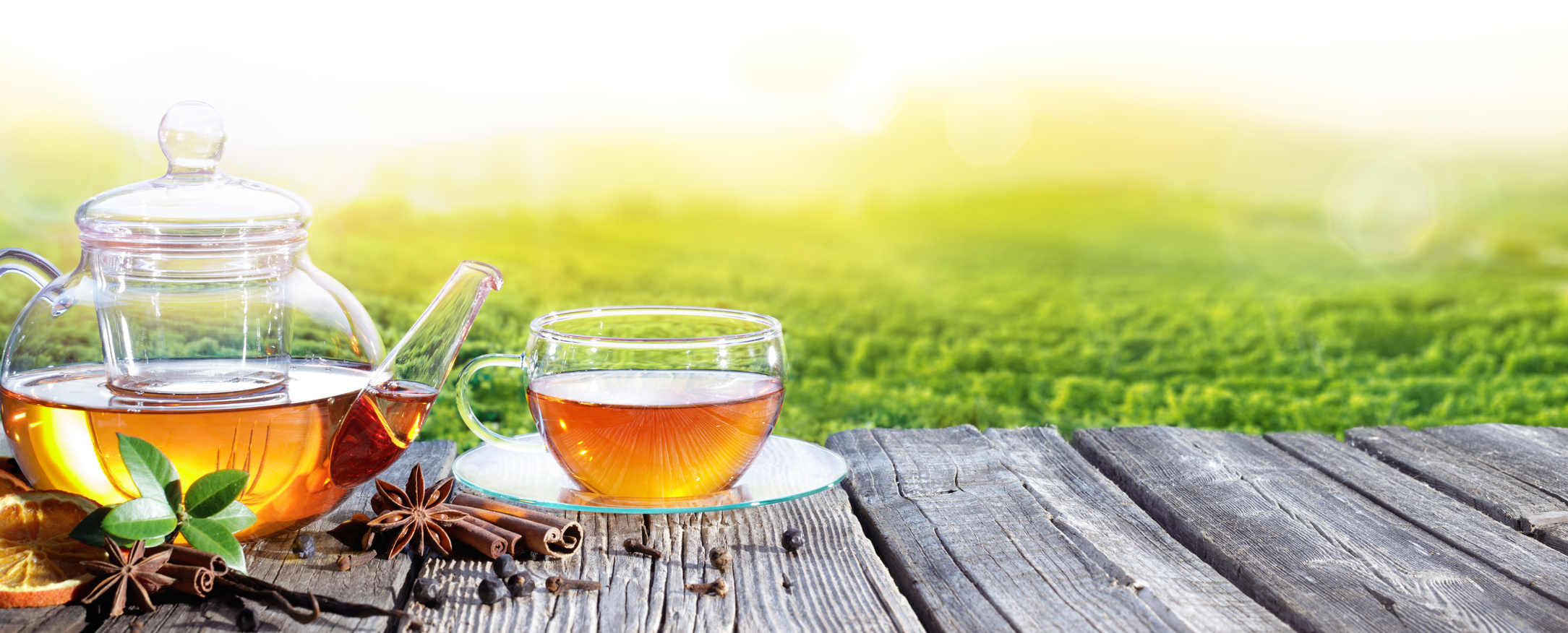 Herbata Loyd – smak zdrowia