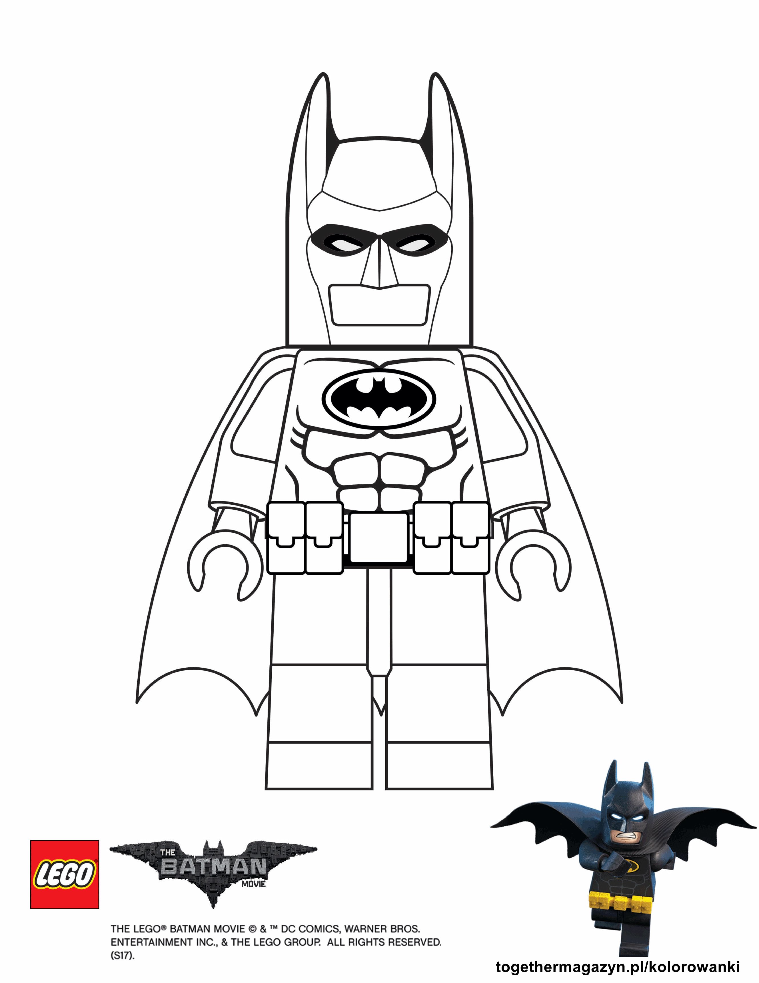 Lego Batman - Together Magazyn