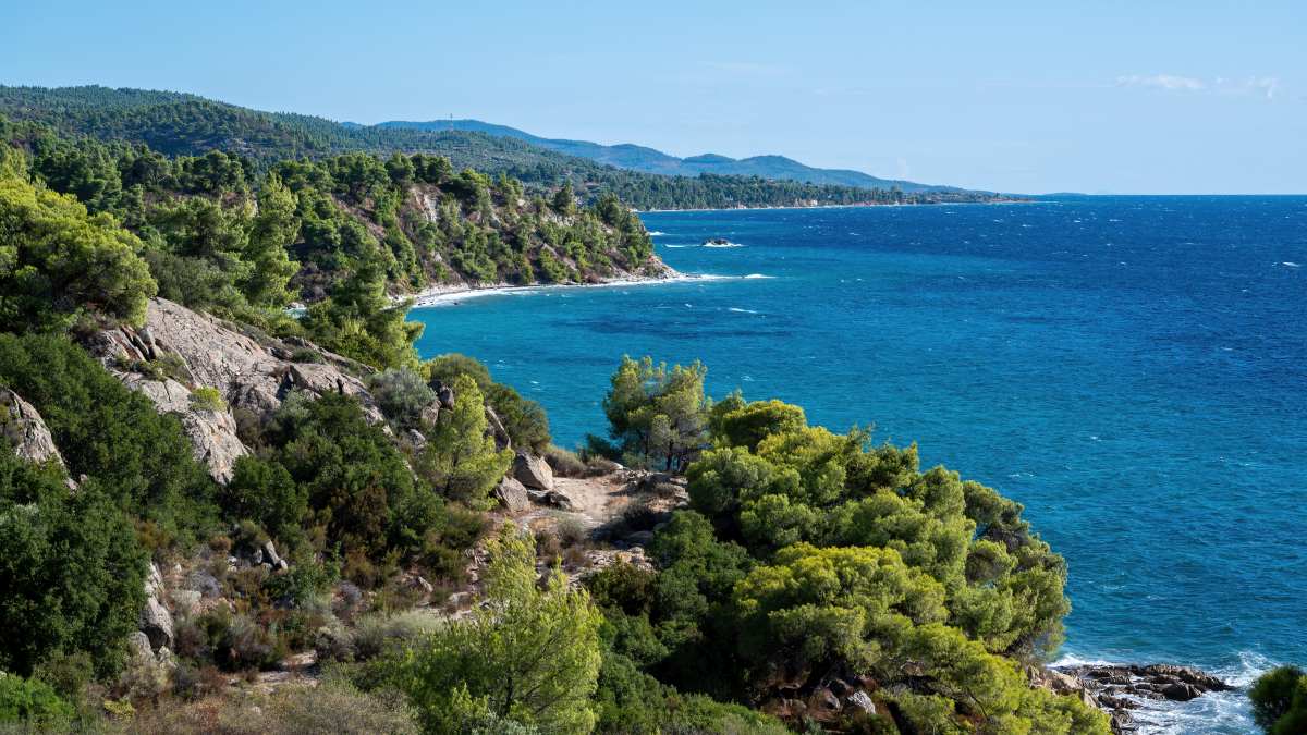 aegean-sea-coast-of-greece-rocky-hills-with-growing-trees-and-bushes-wide-expanse-of-water