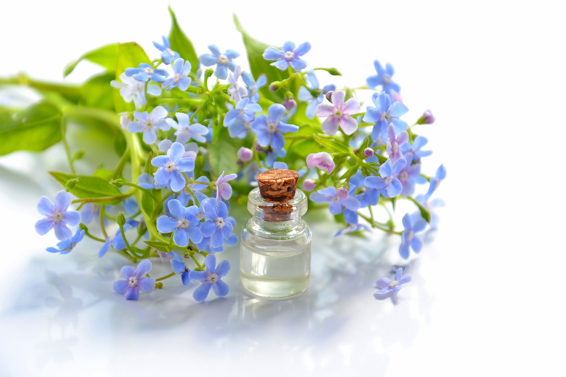 Aromaterapia w domu — zobacz co potrzebujesz!