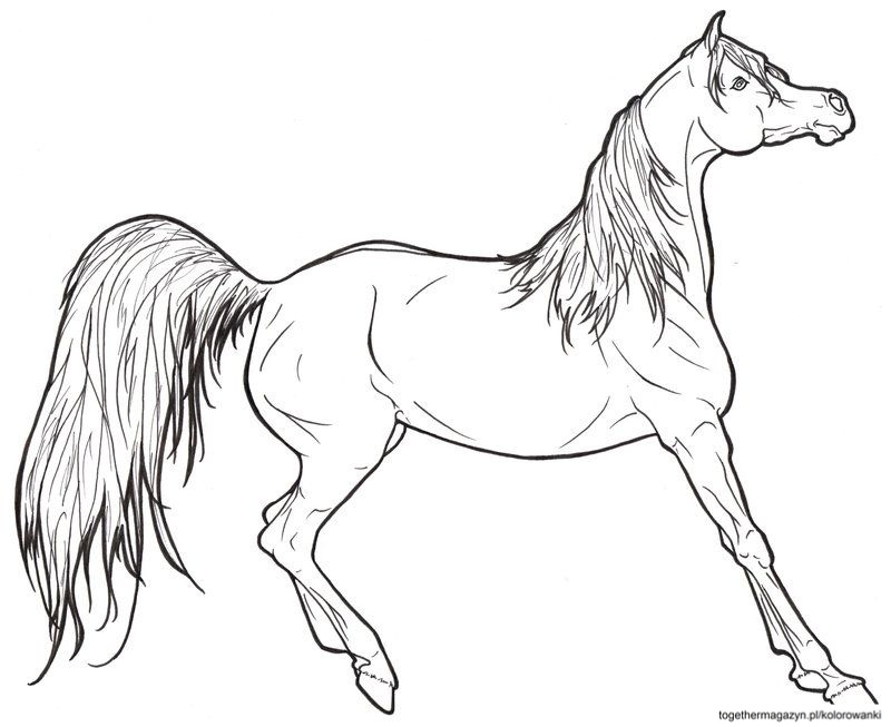 Konie kolorowanki - pokoloruj pięknego konia Barbie