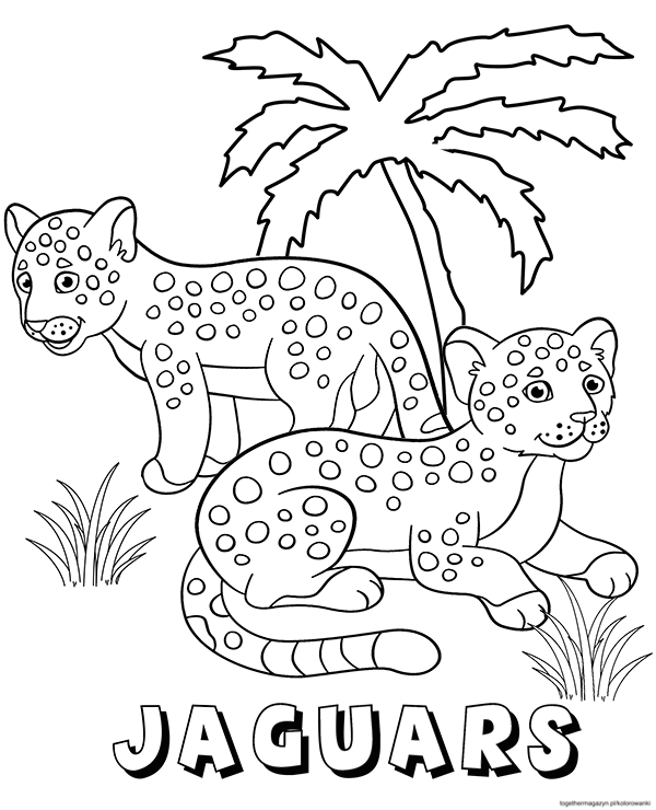 Kolorowanki zwierzęta - pobierz i pokoloruj dwa małe jaguary