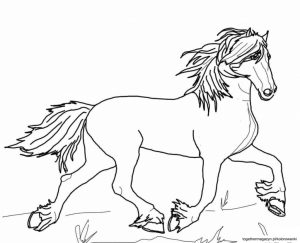 Kolorowanki konie dla dorosłych - pokoloruj galopującego konia