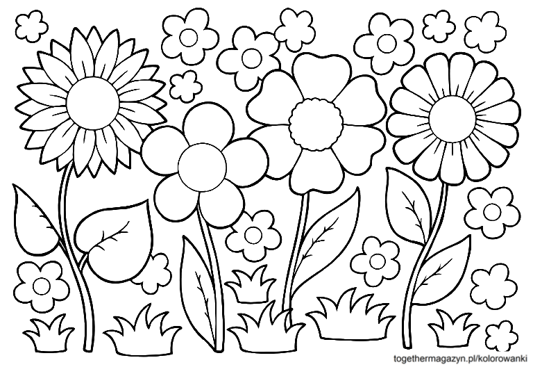 kolorowanki kwiaty - pobierz za darmo i pokoloruj łąkę z kwiatami dla dzieci