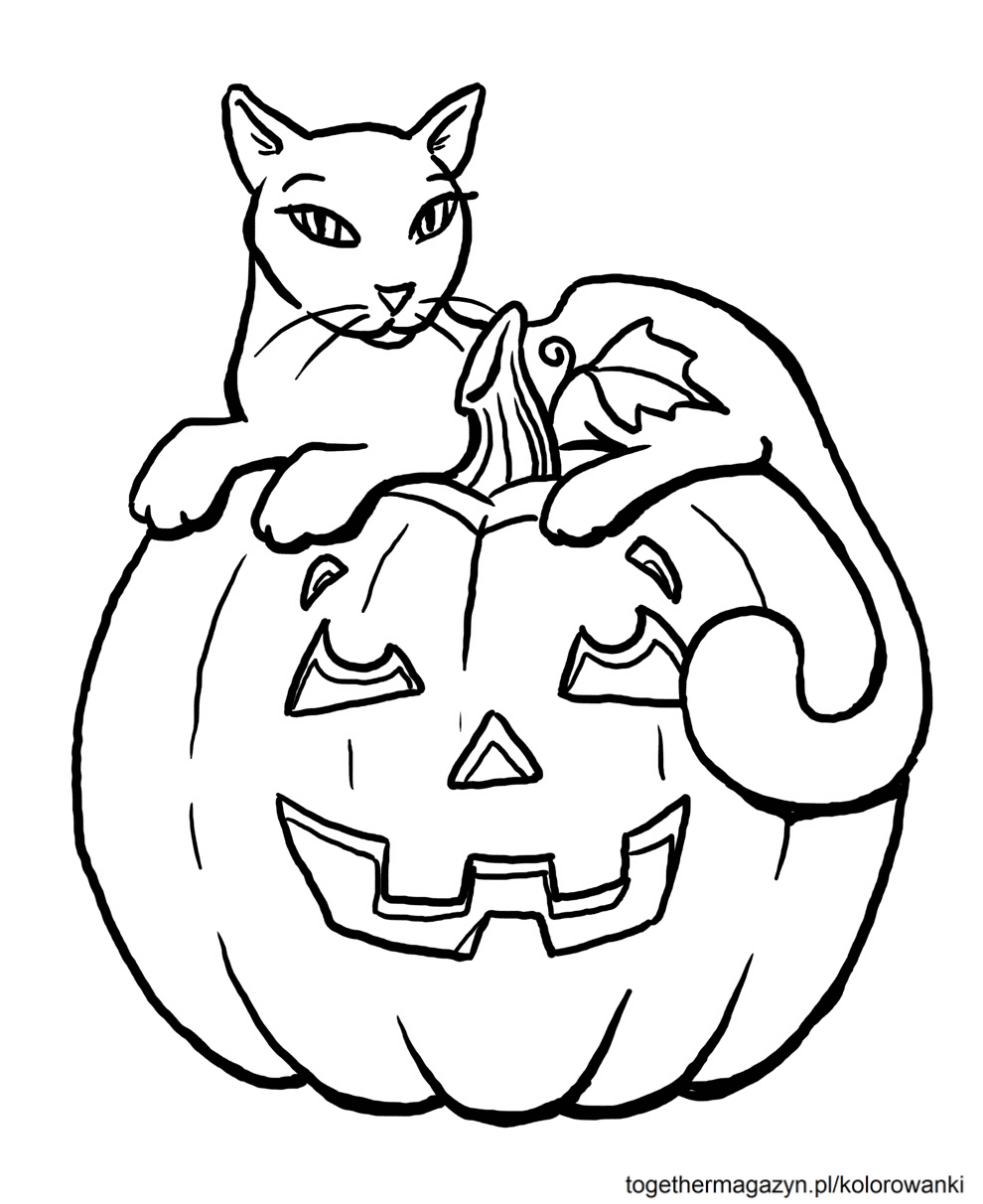 Halloween kolorowanki - wydrukuj i pokoloruj za darmo kota na dyni na Halloween!