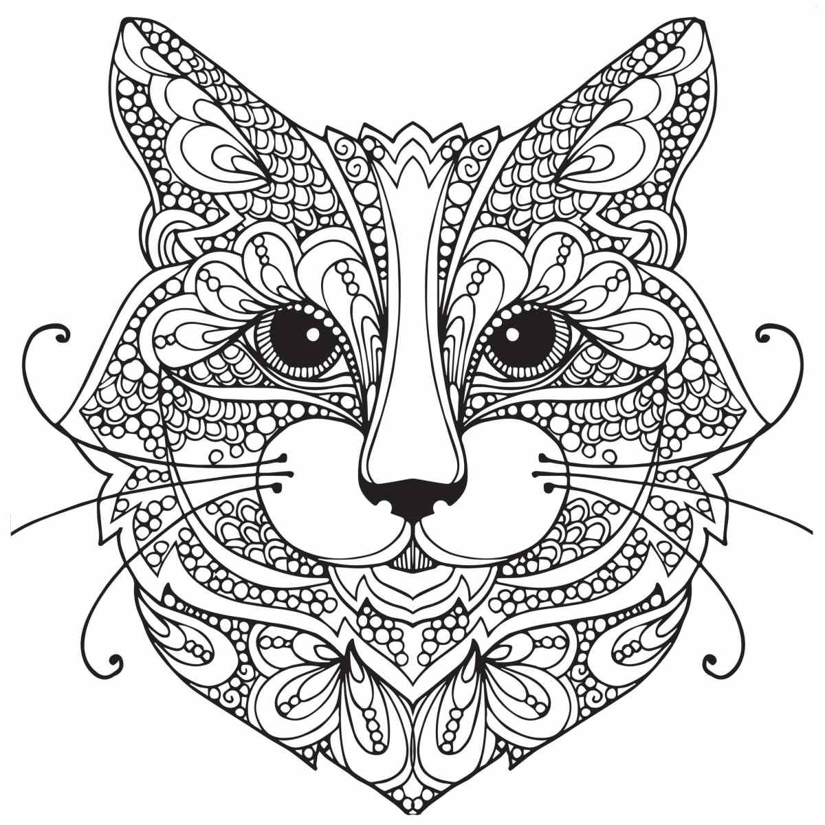 Kolorowanki dla dorosłych - wydrukuj i pokoloruj wspaniałą głowę kota