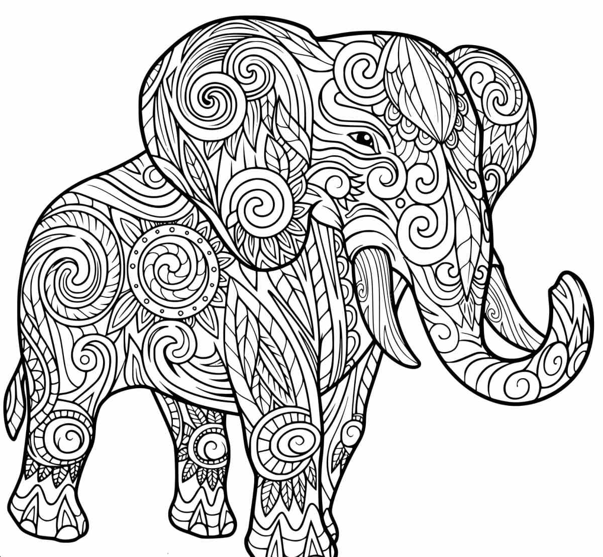 Kolorowanki dla dorosłych - wydrukuj i pokoloruj pięknego słonia