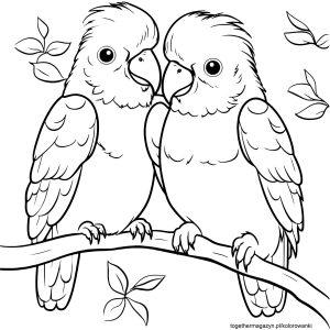 Ptaki kolorowanki - pobierz i pokoloruj za darmo dwie papugi na gałęzi!