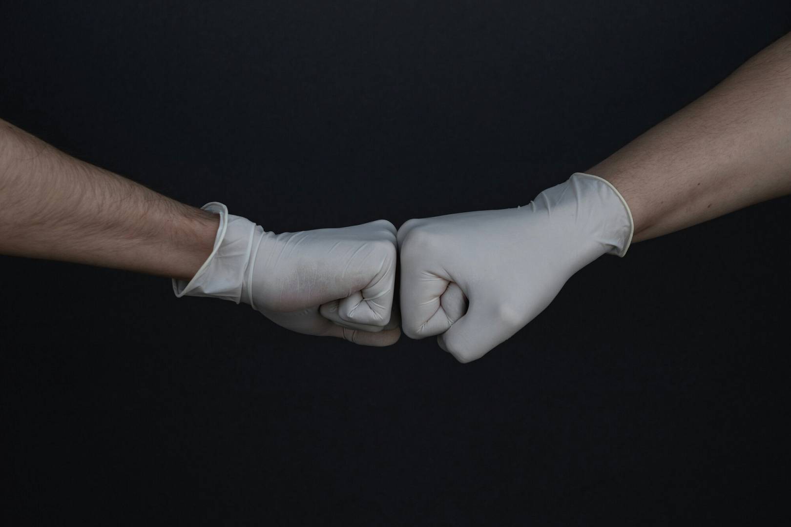branimir balogovic faiqrv7fge0 unsplash wp