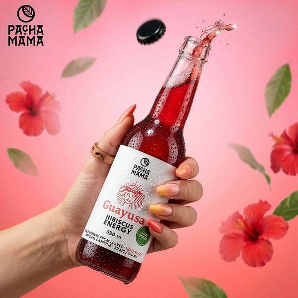 guayusa pachamama cold brew wp