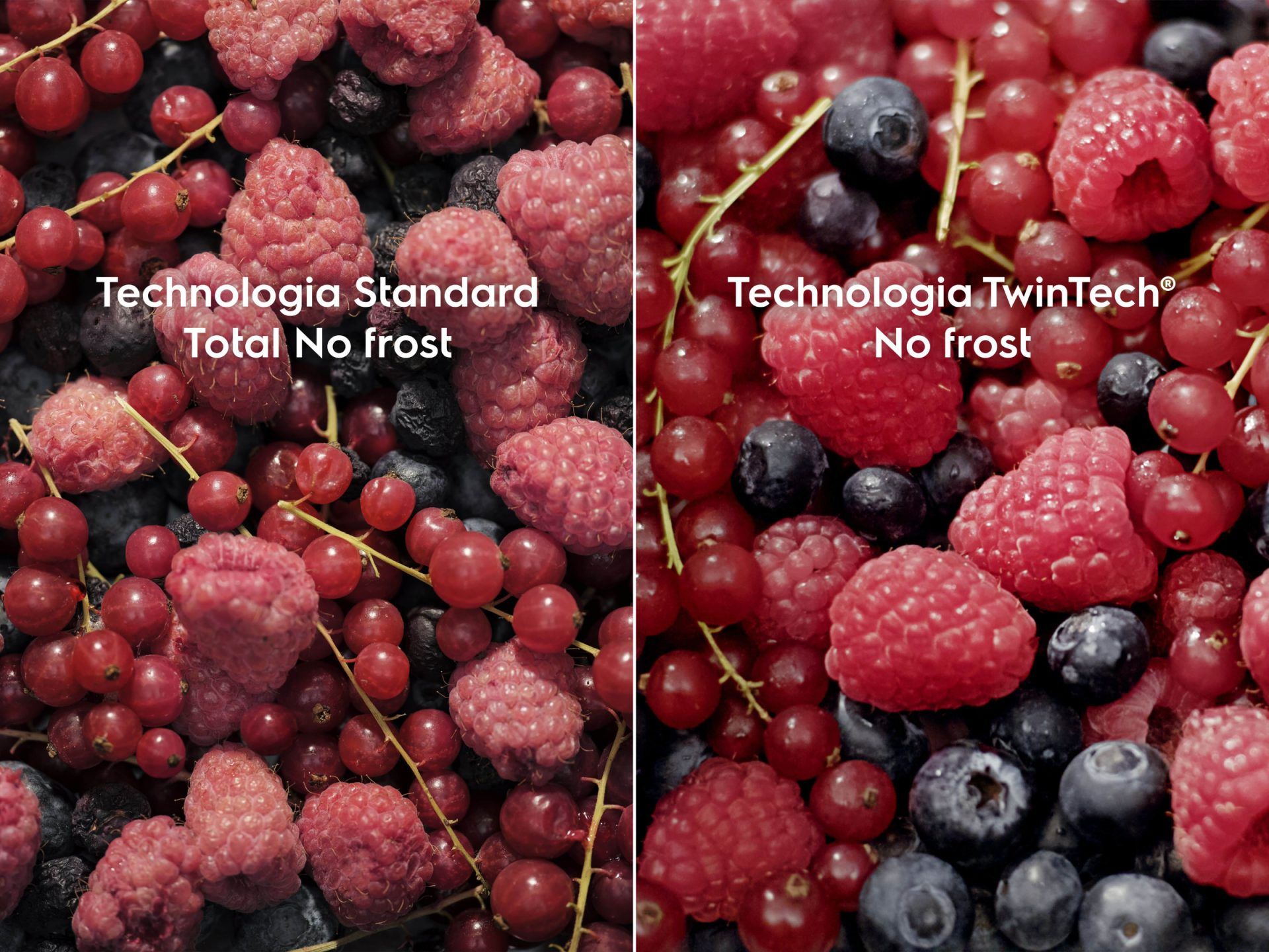 TwinTech® No Frost – dwa niezależne systemy chłodzenia